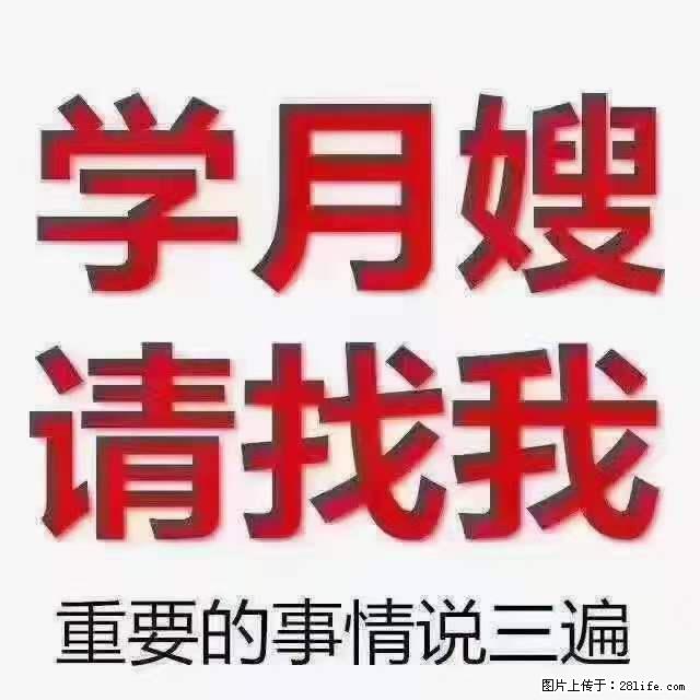 为什么要学习月嫂,育婴师? - 新手上路 - 南昌生活社区 - 南昌28生活网 nc.28life.com