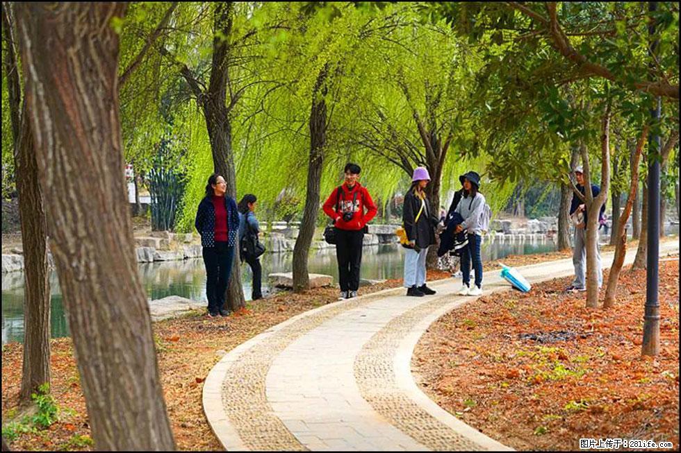 【春天,广西桂林灌阳县向您发出邀请!】江口老街又逢春 - 游山玩水 - 南昌生活社区 - 南昌28生活网 nc.28life.com