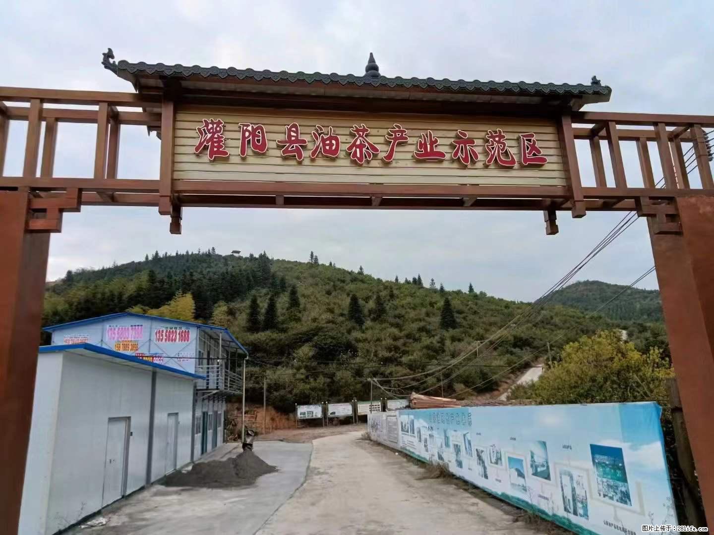 【灌阳县油茶产业示范区】一个有着充实的精神生活的人,对待身外之物自会有一种淡泊的态度 - 美食天地 - 南昌生活社区 - 南昌28生活网 nc.28life.com
