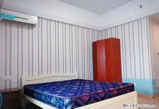 卫东旁 万达广场 精装朝南公寓 房东降价急租 近莱蒙都会 - 南昌28生活网 nc.28life.com