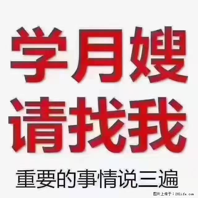 【招聘】月嫂，上海徐汇区 - 职场交流 - 南昌生活社区 - 南昌28生活网 nc.28life.com