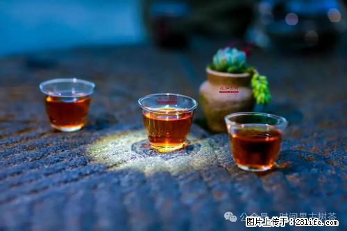 时间果百年古树2025年春红茶 - 购物交流 - 南昌生活社区 - 南昌28生活网 nc.28life.com