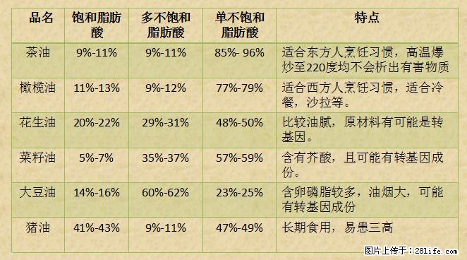 揭秘茶油的5大核心营养成分!被称为人体健康的“守护盾”! - 南昌生活资讯 - 南昌28生活网 nc.28life.com