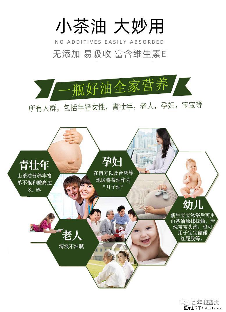 世界没有真相,只有认知,最好的食用油是中国的山茶油! - 南昌生活资讯 - 南昌28生活网 nc.28life.com