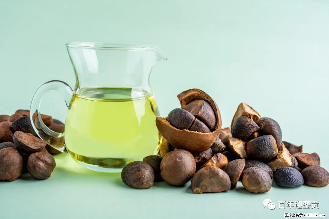世界没有真相，只有认知，最好的食用油是中国的山茶油！ - 南昌生活资讯 - 南昌28生活网 nc.28life.com