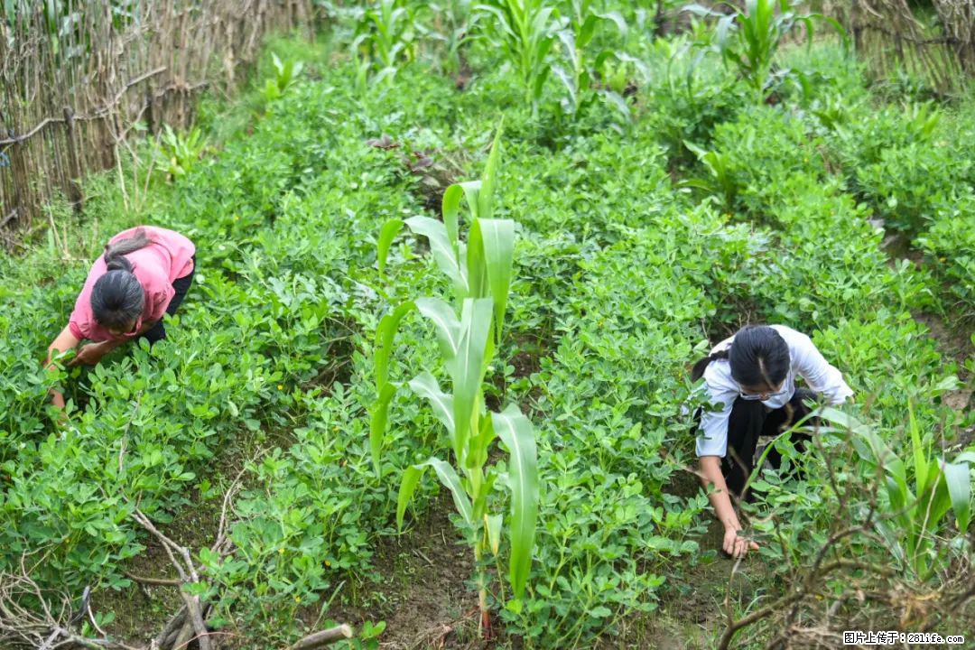 全网追的“扁担女孩”,找了一份暑假工,时薪12元 - 南昌生活资讯 - 南昌28生活网 nc.28life.com