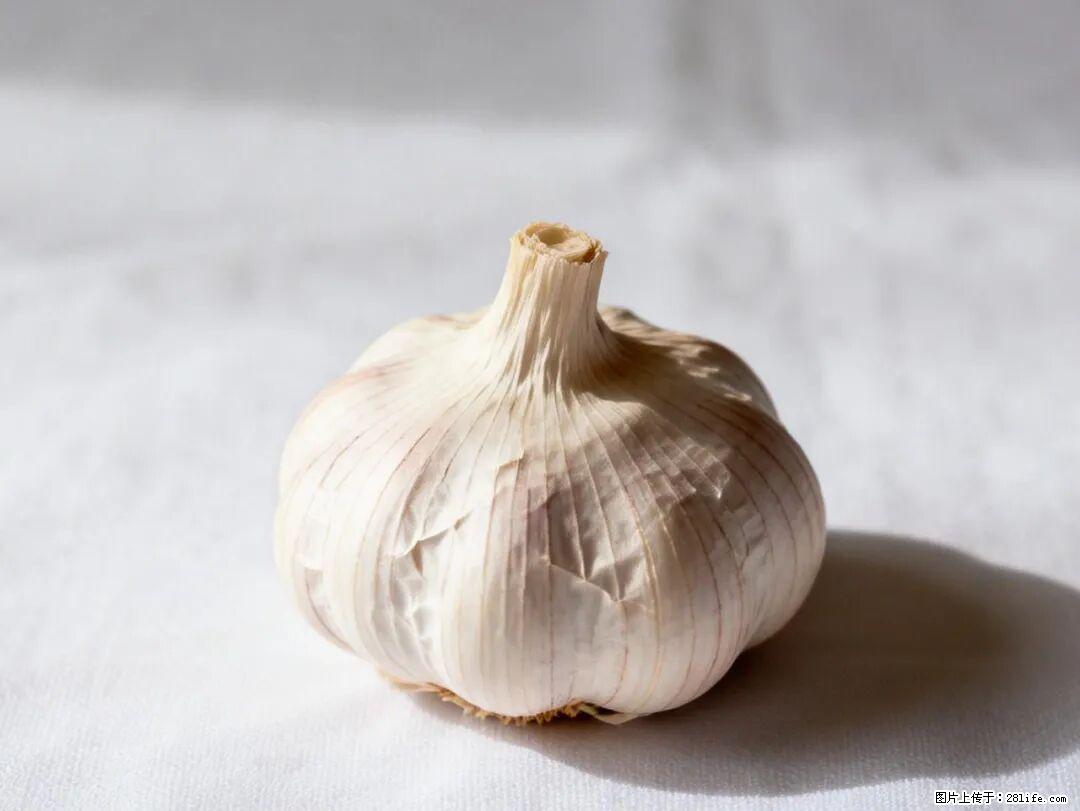 关于大蒜，除了“天然抗生素”，这4个谣言更该警惕! - 南昌生活资讯 - 南昌28生活网 nc.28life.com