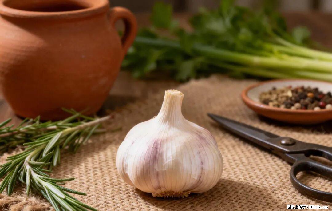 关于大蒜，除了“天然抗生素”，这4个谣言更该警惕! - 南昌生活资讯 - 南昌28生活网 nc.28life.com