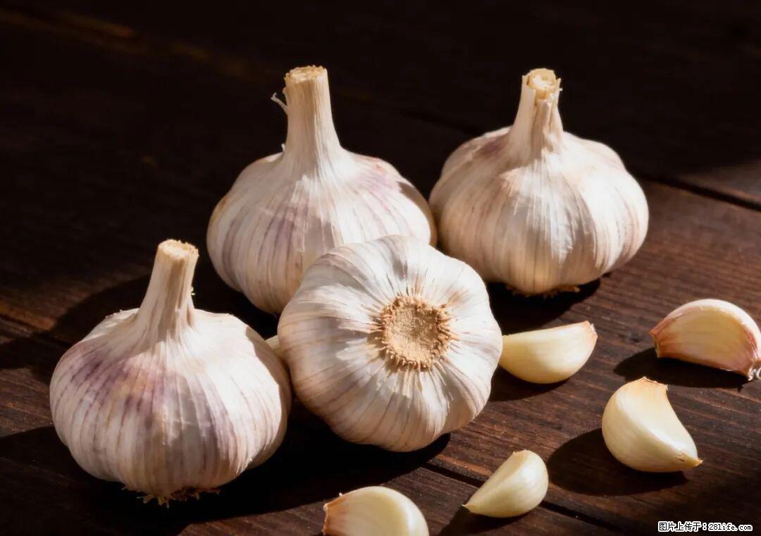 关于大蒜，除了“天然抗生素”，这4个谣言更该警惕! - 南昌生活资讯 - 南昌28生活网 nc.28life.com