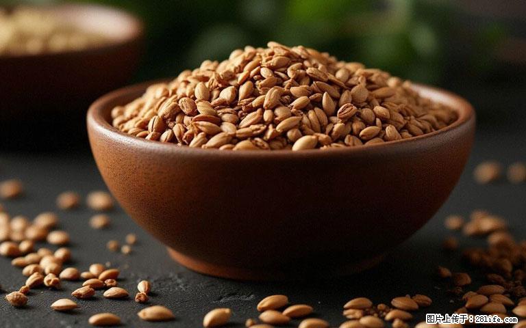 这三苦是三高“克星”，心血管干净不易堵！每天吃一点，指标慢慢降下来~ - 南昌生活资讯 - 南昌28生活网 nc.28life.com