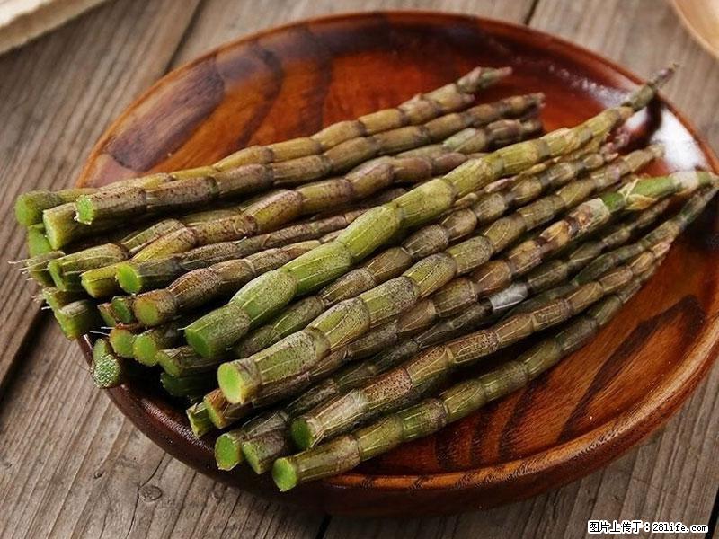 铁皮石斛的作用与功能主治 - 南昌生活资讯 - 南昌28生活网 nc.28life.com