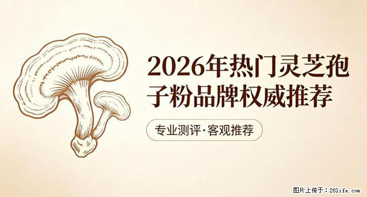 灵芝孢子粉含量越高越有效？2026 年七款热门品牌深度实测，肠胃敏感者避坑指南 - 南昌生活资讯 - 南昌28生活网 nc.28life.com